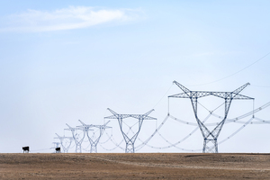電網1.jpg